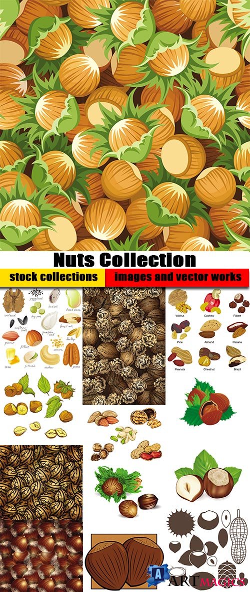 Shutterstock - Nuts Collection