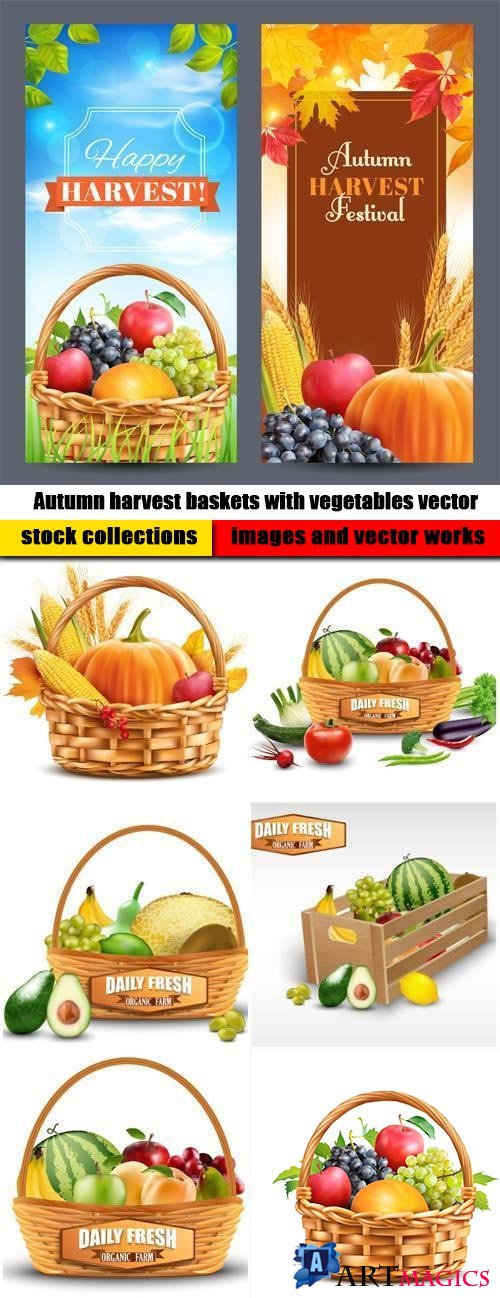 Autumn harvest baskets with vegetables vector