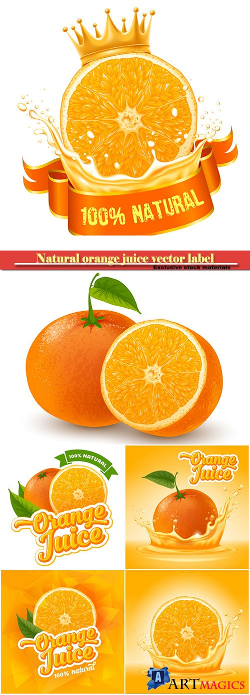 Natural orange juice vector label design template, fresh fruit with splash