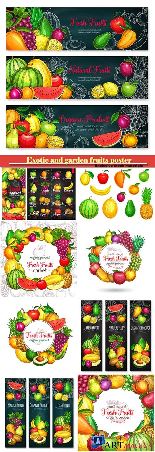 Exotic and garden fruits poster of melon, apricot or apple and avocado, tropical mango, kiwi