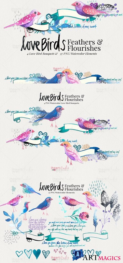 Love Birds Watercolors 1863862