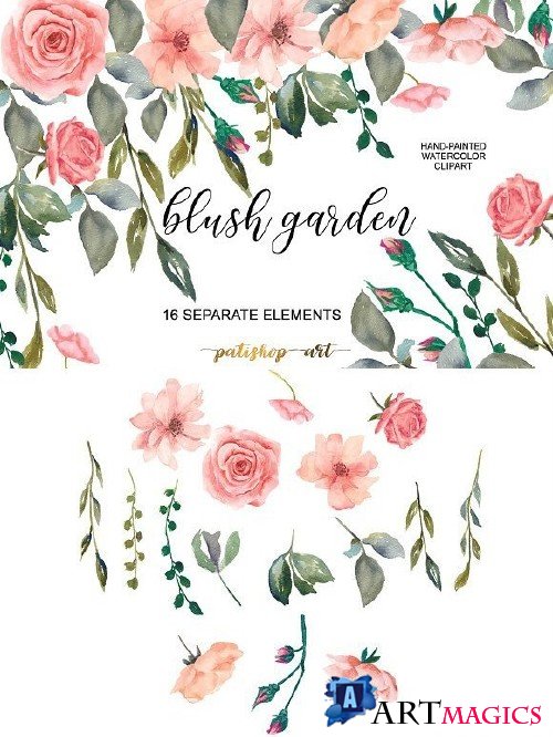 Blush Roses Watercolor Elements 1721041