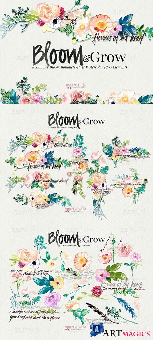 Bloom & Grow Watercolors 1863807