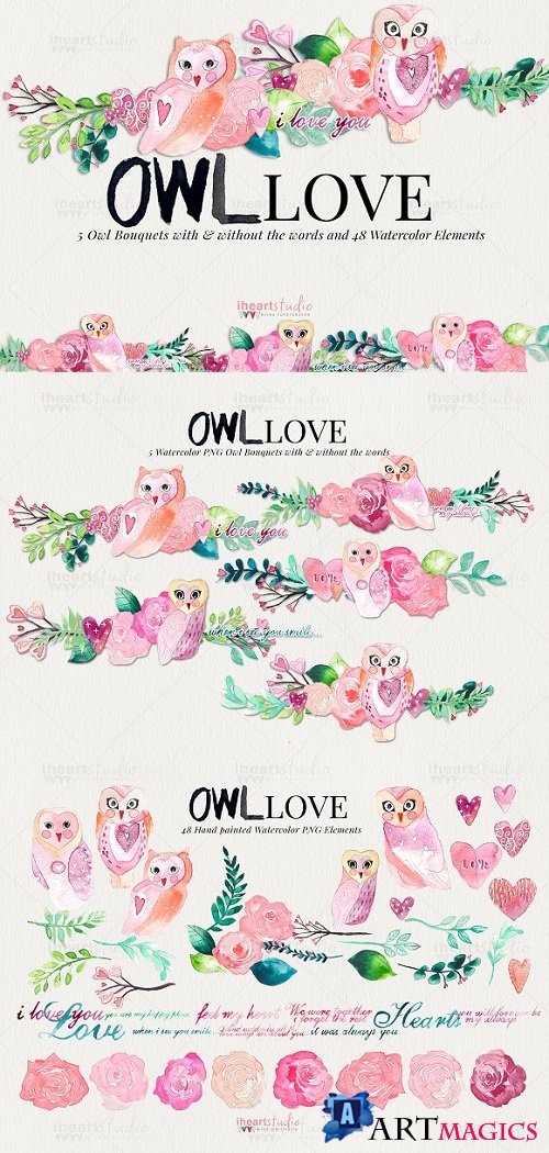 OWL Love Watercolors 1863847