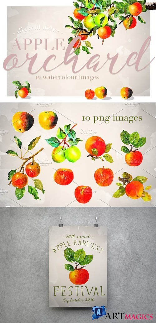 Apple Orchard Watercolour Design Set 1227751