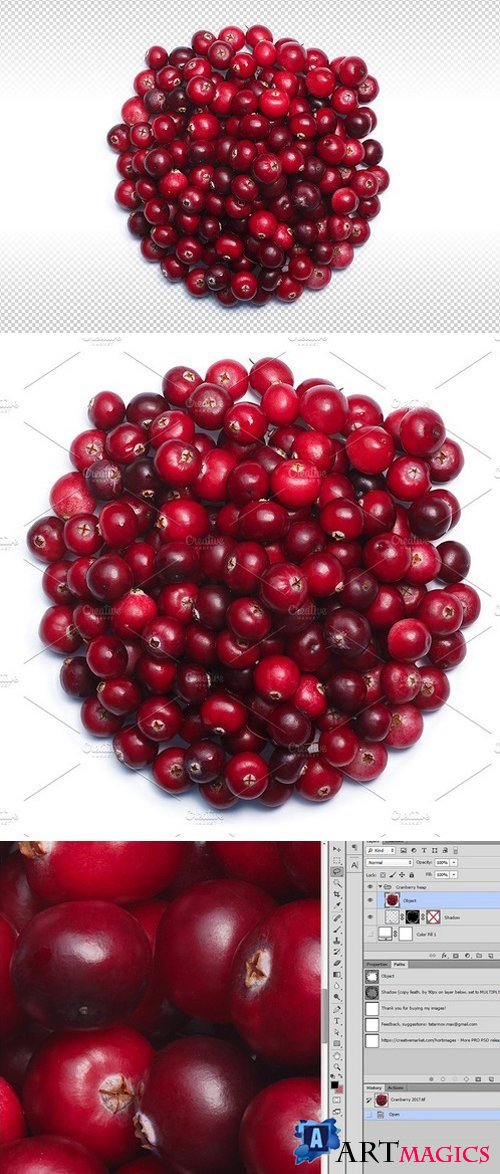 Cranberry pile 1891005