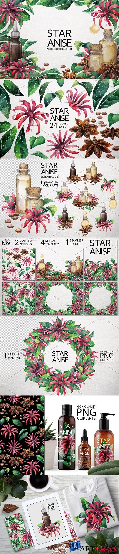 Watercolor Star Anise collection 2002808