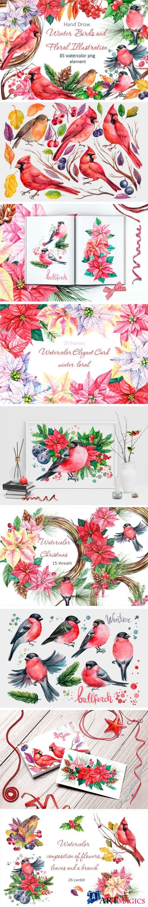 Winter Birds and Floral Illustration - 2010561