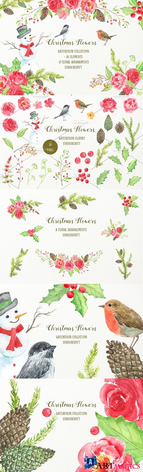 Watercolor Christmas Flowers - 2011791