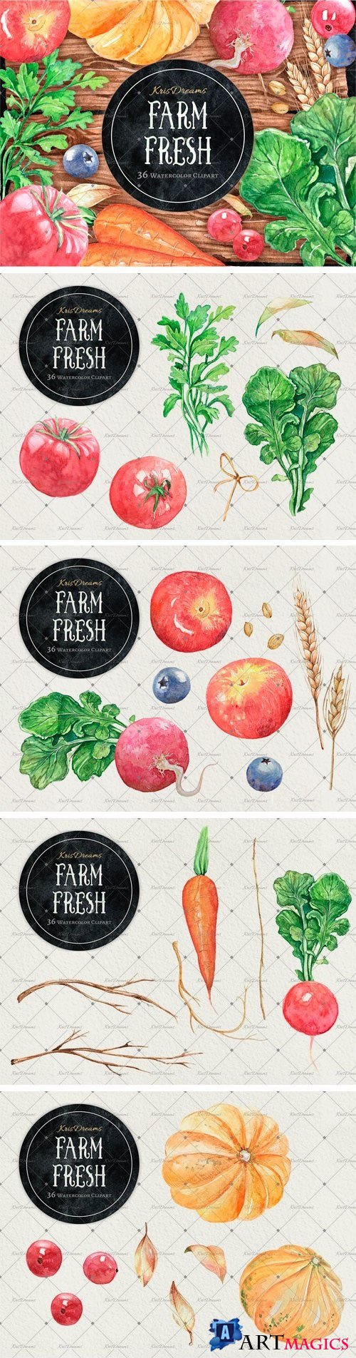 Farm Fresh Watercolor Clipart - 2038066