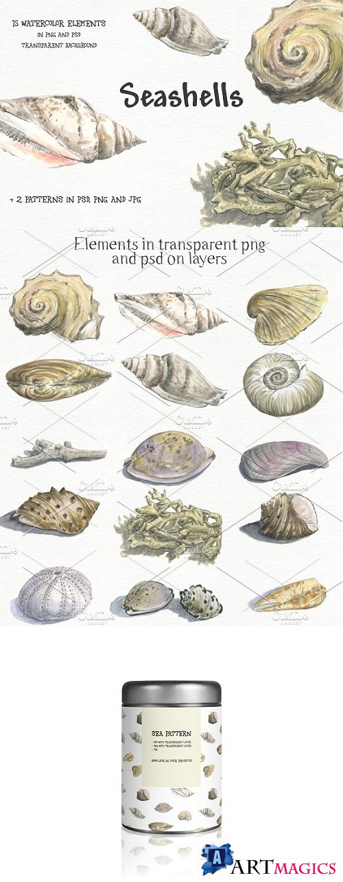 Seashells - watercolor elements set 2065974