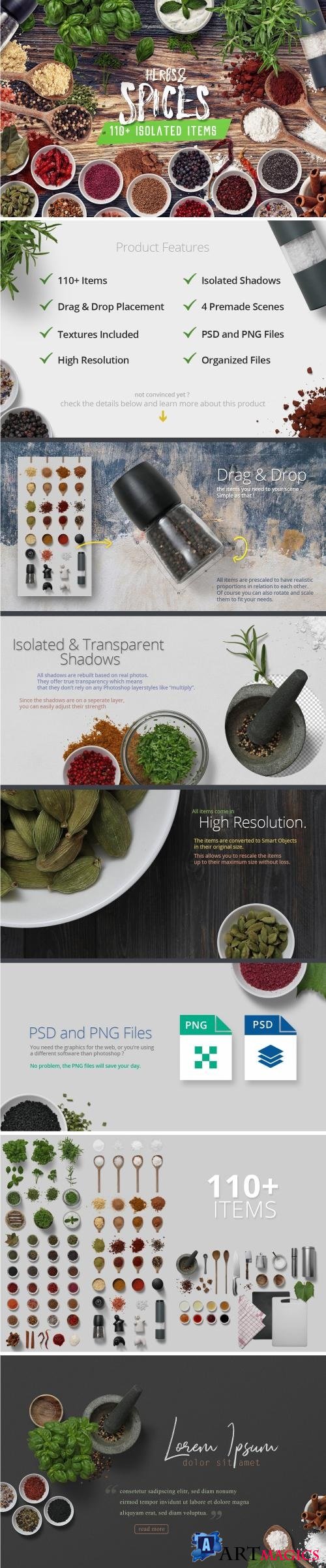Herbs & Spices - Isolated Food Items - 2210606