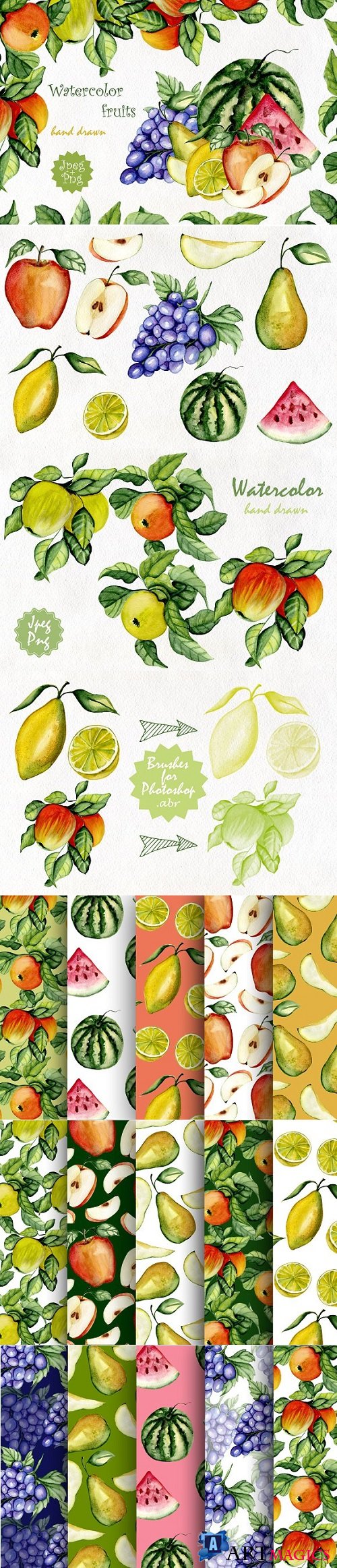 Watercolor fruits - 542760