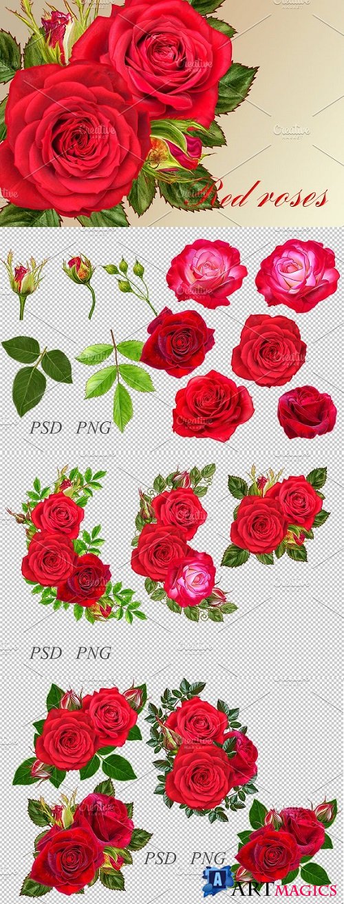 Collection of red roses 2246244