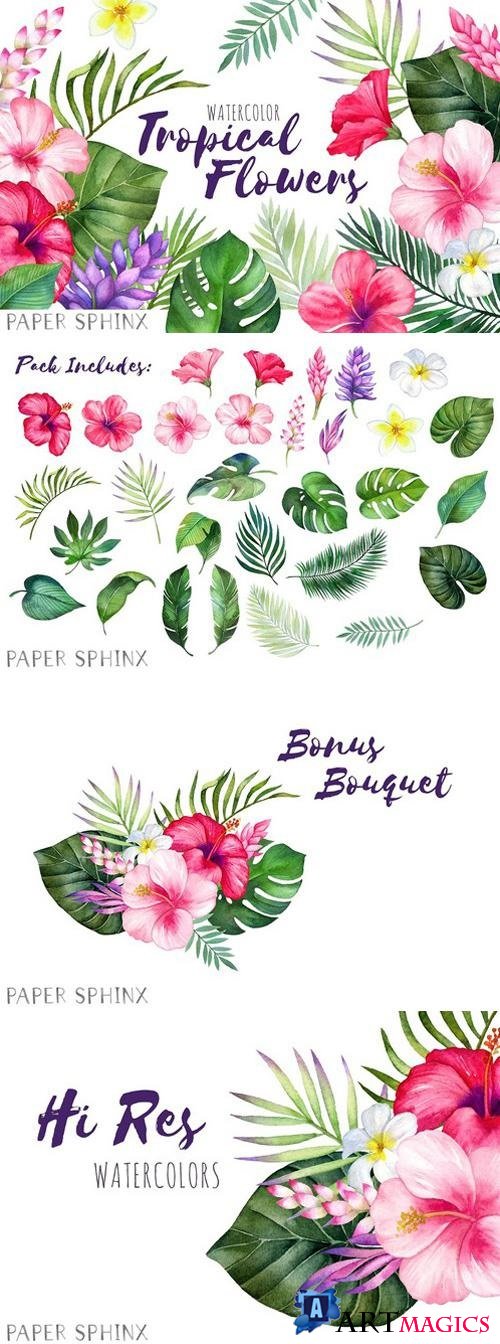 Watercolor Tropical Flowers Clipart 2204999
