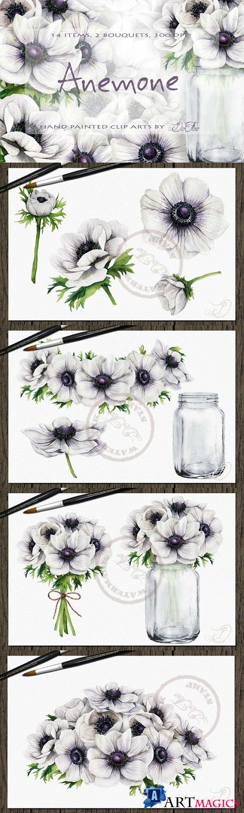 Anemone Watercolor Clip Art 2219823