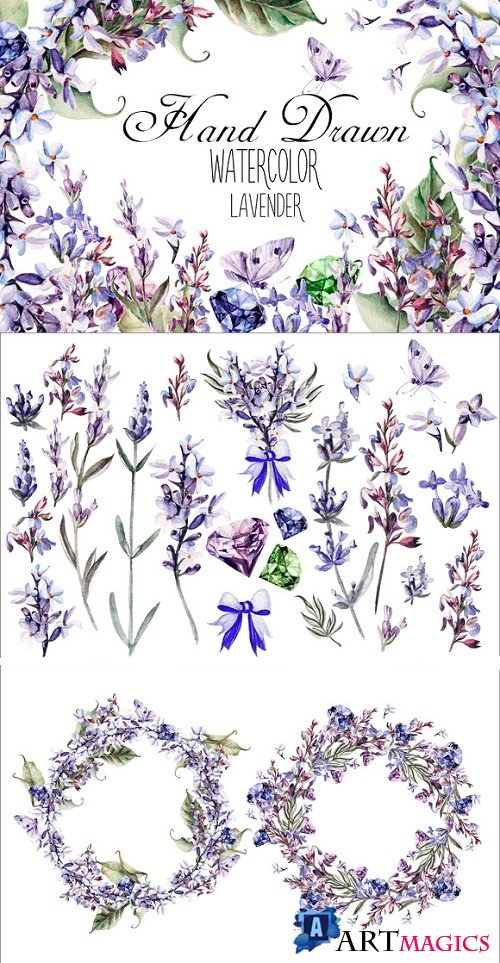 Beautiful watercolor Lavender - 650366