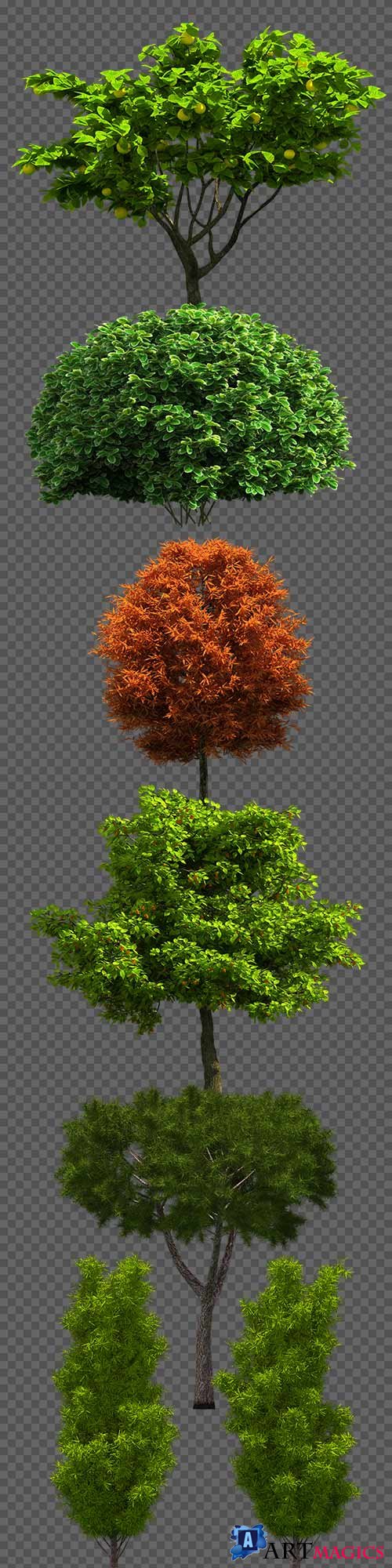 Trees on a transparent background PNG - 7