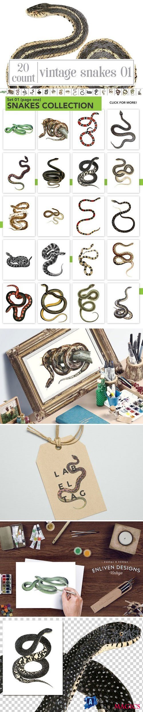 Watercolor Snake Bundle: Set 01 2230889