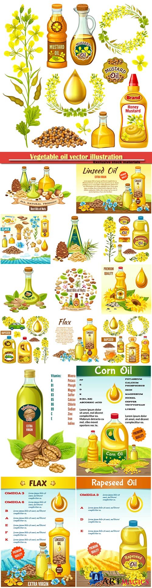 Vegetable oil vector illustration