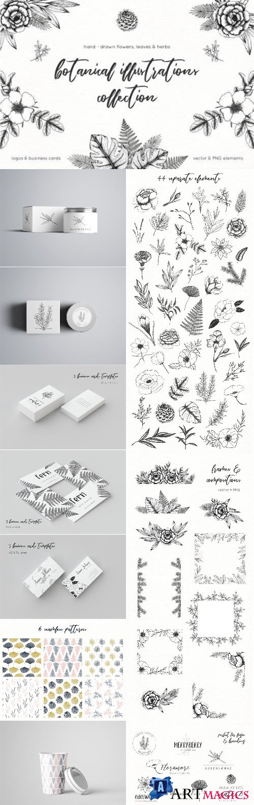 Botanical Illustrations Pack - 2295310