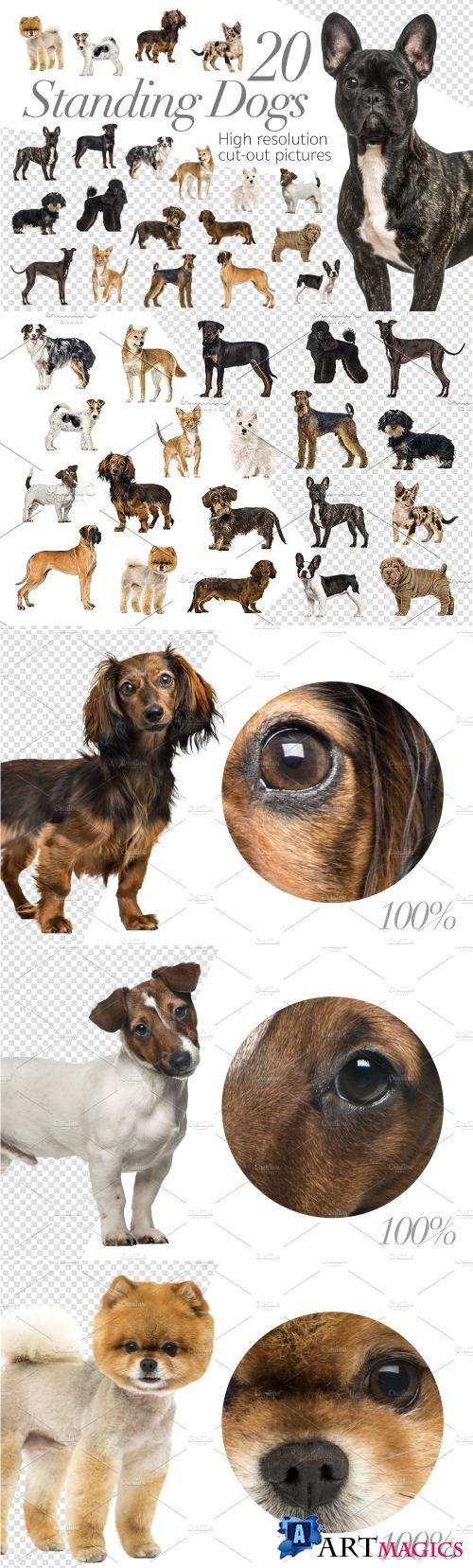 20 Standing Dogs - Cut-out Pictures - 2261997