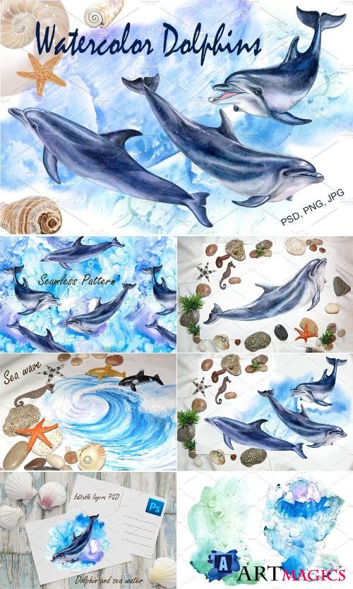 Watercolor Dolphins - 2316252