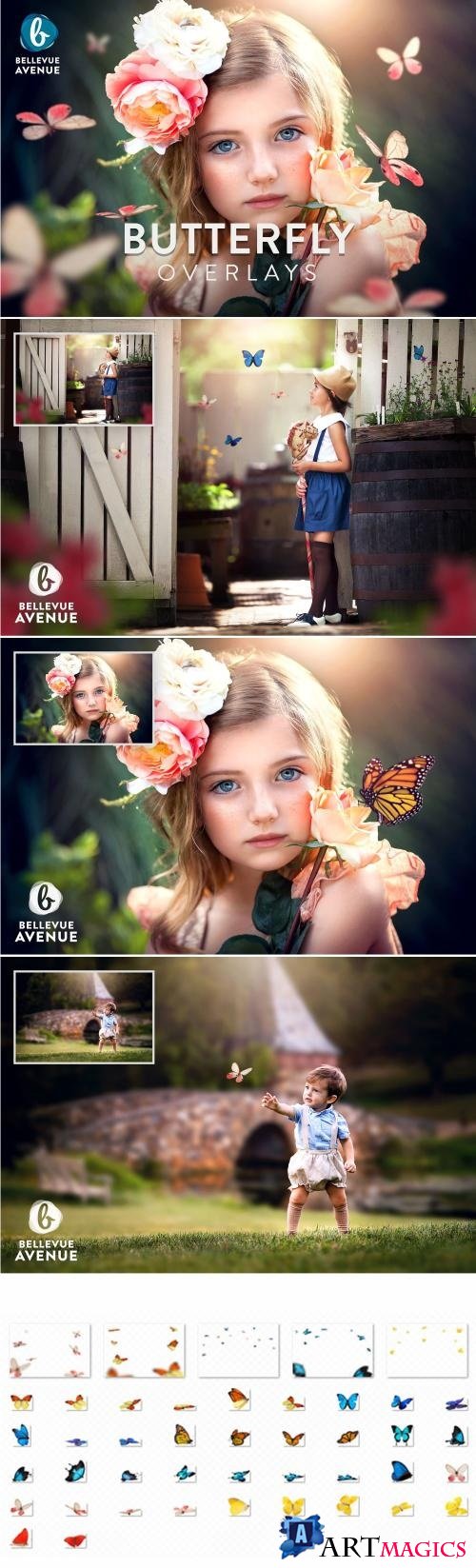 Butterfly Overlays (Real) - 2294970