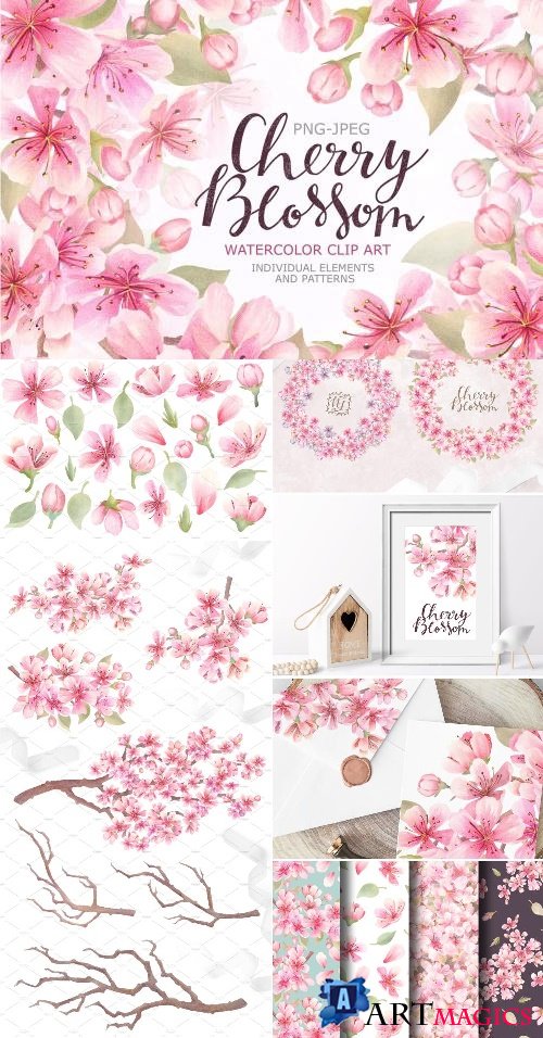 Cherry Blossom Watercolor - 2361263