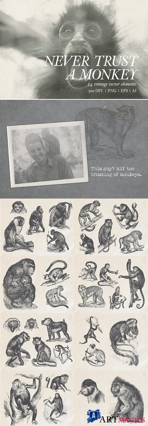 Never Trust a Monkey - Vintage Set - 2349641