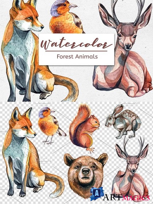 Watercolor Forest Animals  Set of 6 2357035