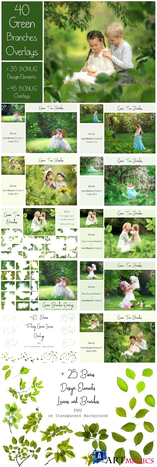 120 Green Tree Branches Overlays - 2382282
