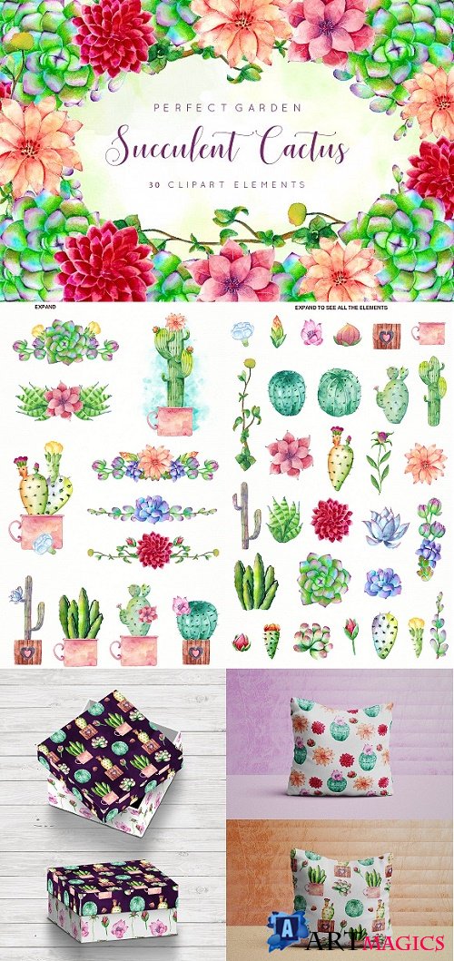 Floral Cactus Succulent Collection 2370446