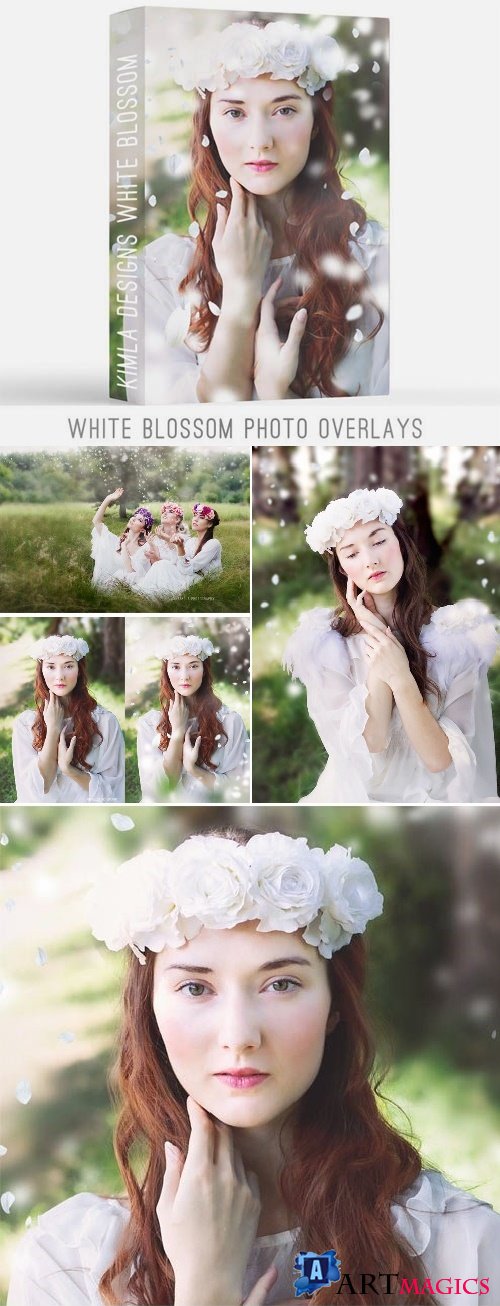 White Blossom Photoshop Overlays - 2266575