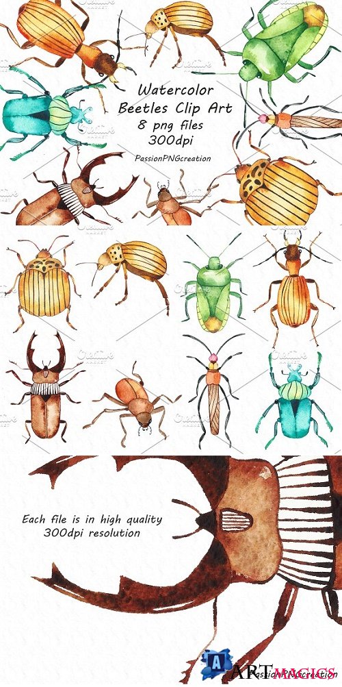 Watercolor beetles clipart 2404991