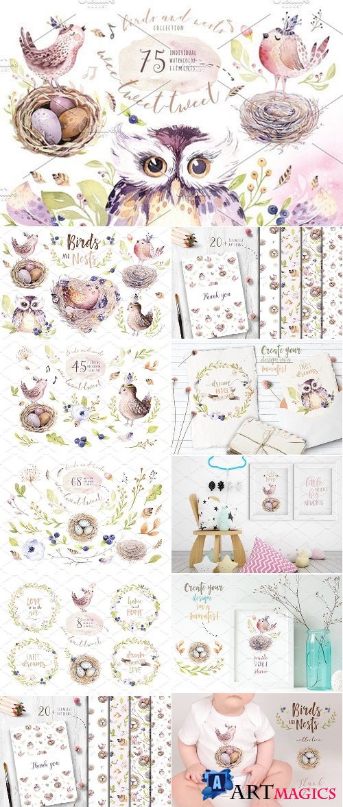 Birds and nests collection - 2404442