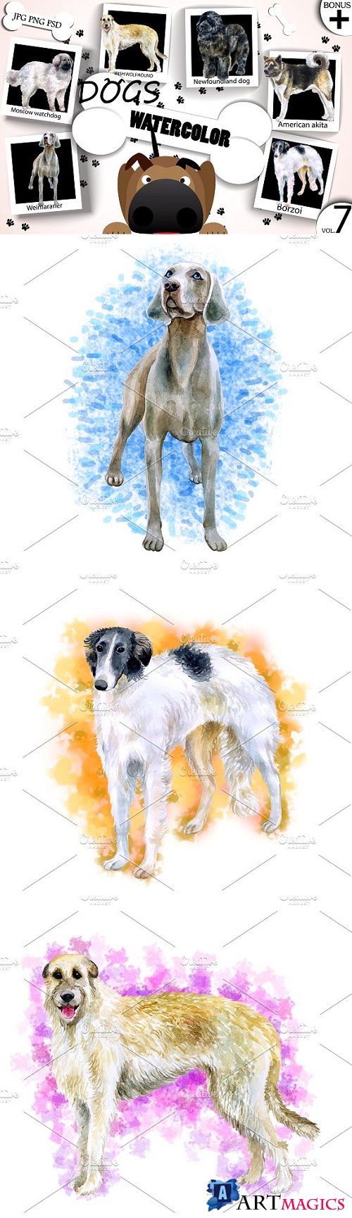 Watercolor Dogs - Collection 7 of 12 - 1717698