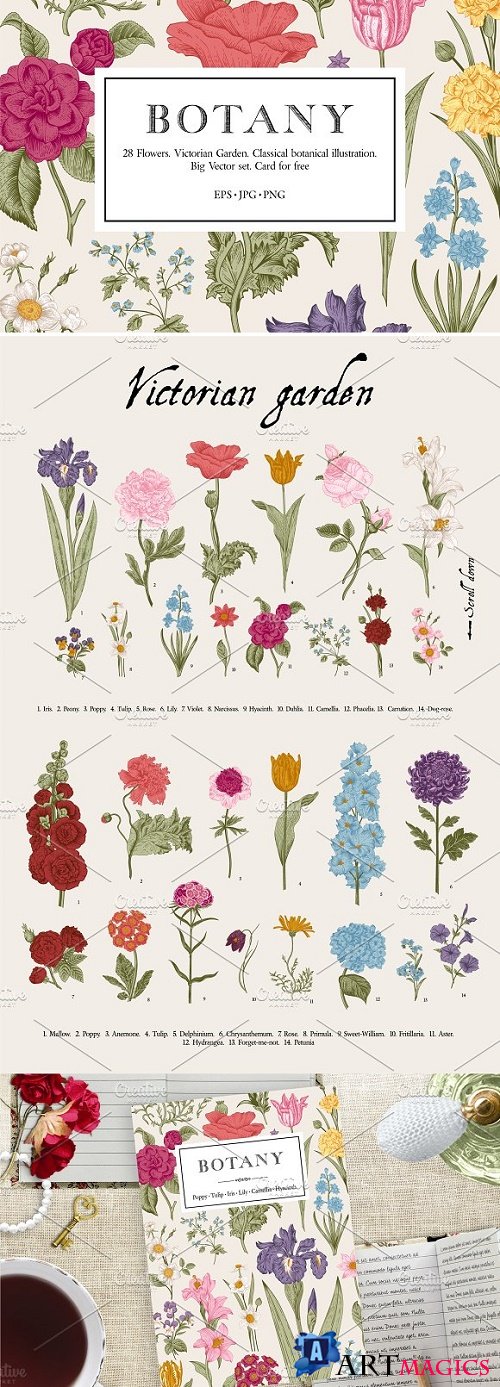Botany Victorian garden Color 2431926