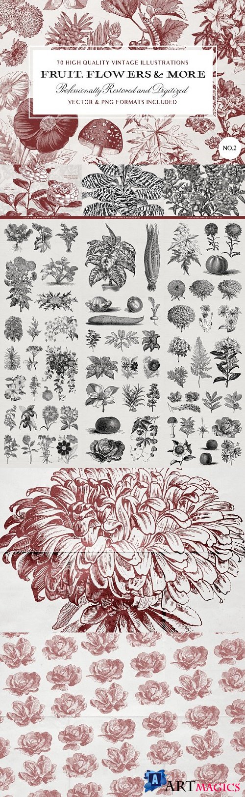 70 Fruit & Flower Illustrations No.2 - 2407032