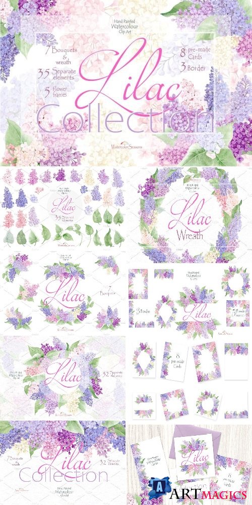 Lilac Collection - 2447193
