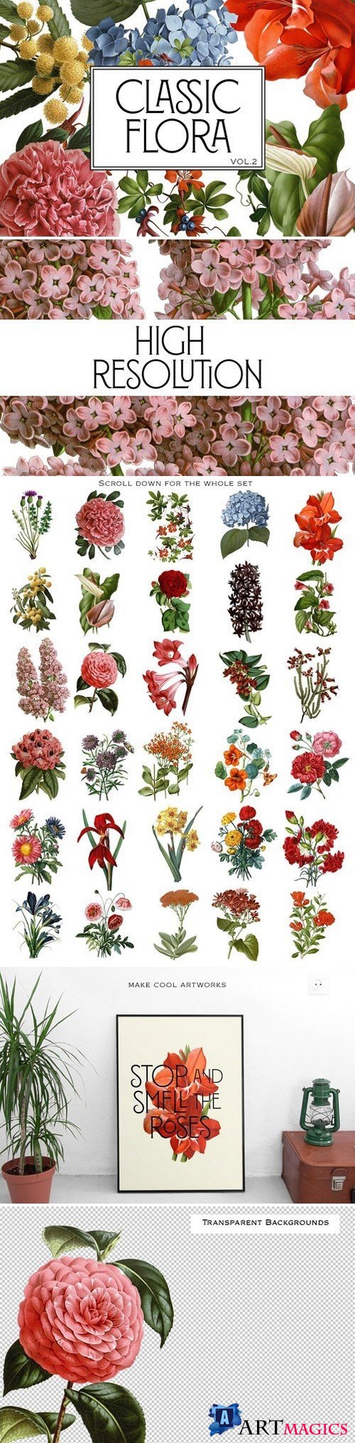 Botanical Flowers vol.2 1543196