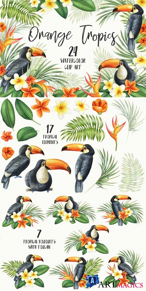 Watercolor Orange Tropics Toucan 2486518