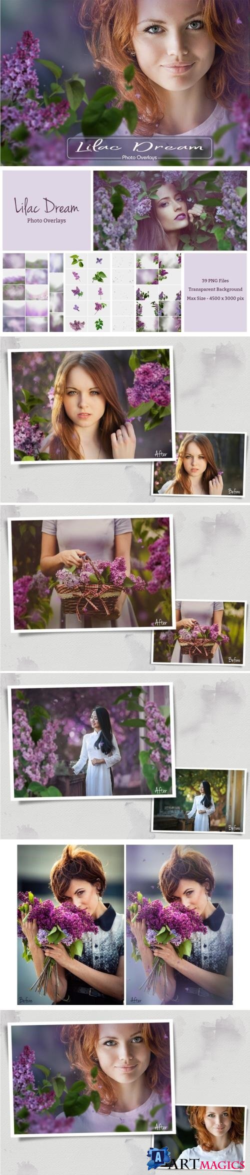 Lilac Photo Overlays (39 PNG) - 2581969