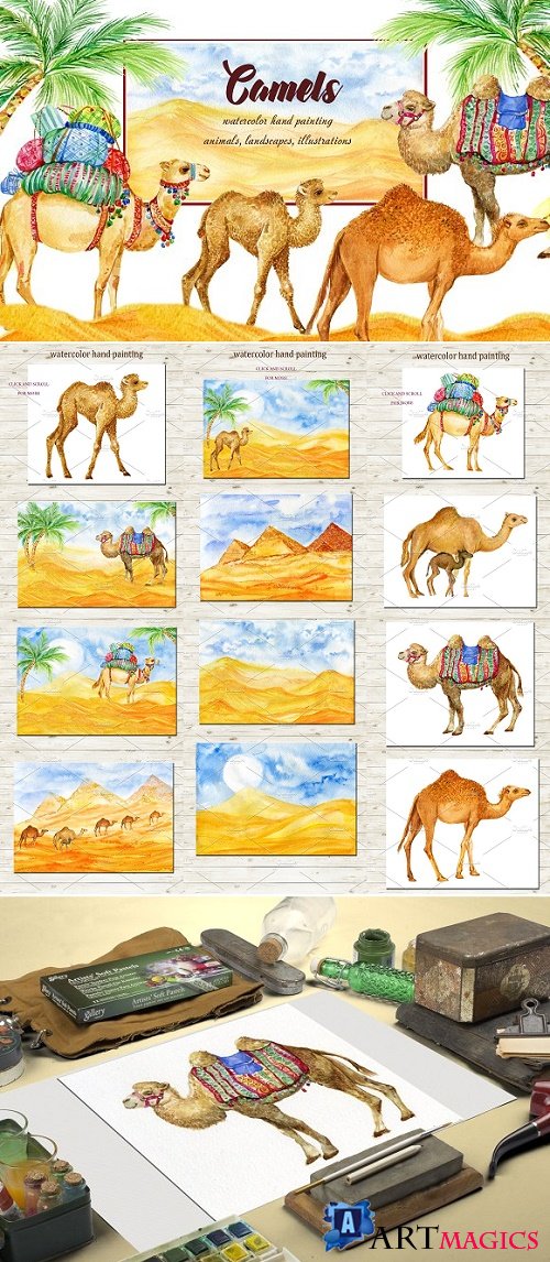 Camels Watercolor Illustrations 2396110