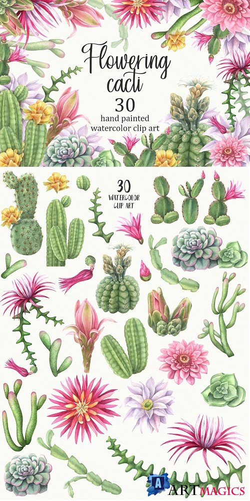 Watercolor flowering cacti 2517486