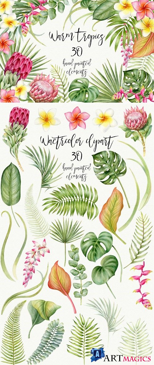 Watercolor tropical plants - 2273570