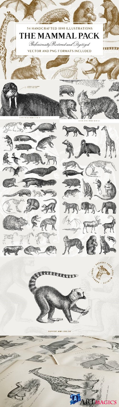 54 Handcrafted Mammal Illustrations - 2511172