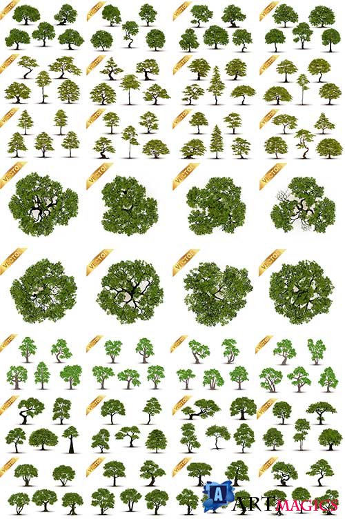    / Trees in vector