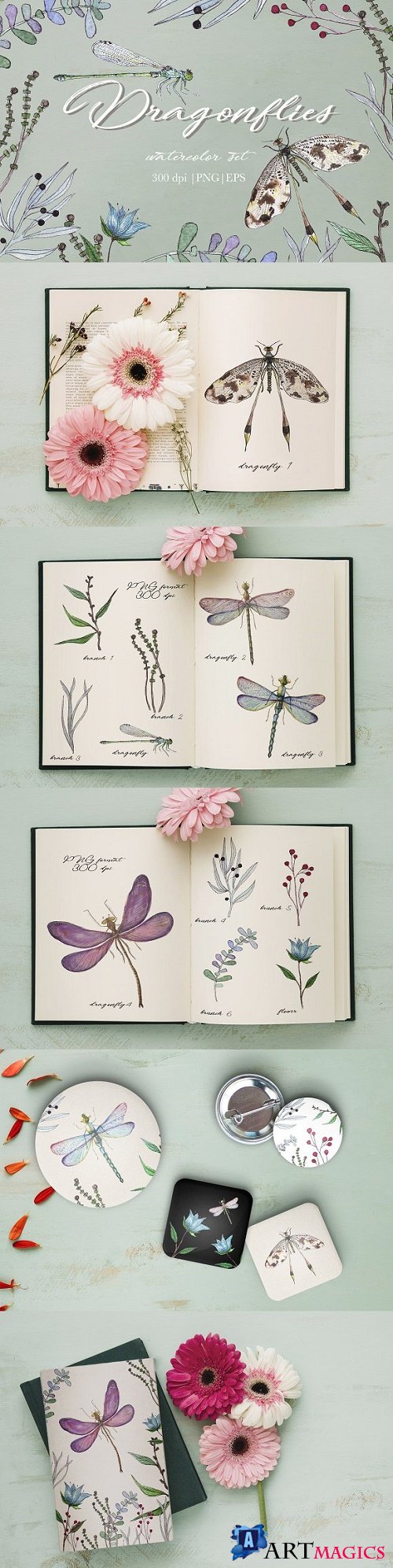 Dragonflies watercolor set - 1624787