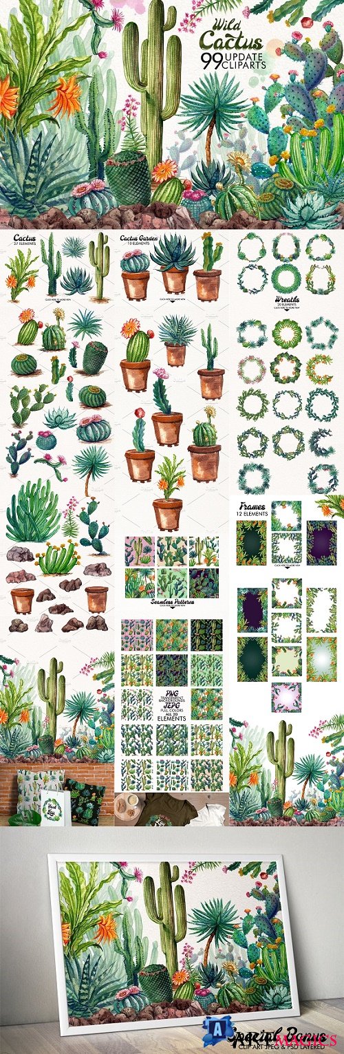 Watercolor Cactuses - 1485736